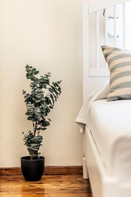 Appartement Diana's Centrally Located Apt@ Old Town Of Corfu Corfu (city)